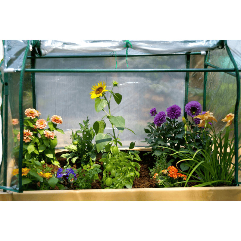 plants growing inside of the Eden raised garden bed table