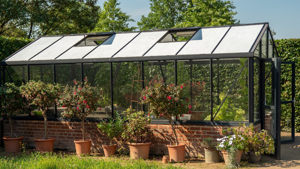 Greenhouse with open roof vents demonstrating natural greenhouse ventilation