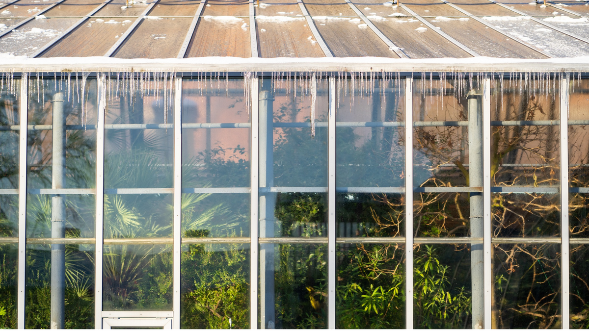 Heating a greenhouse in a backyard in winter