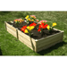 flowers in the EDEN quick assembly raised garden bed