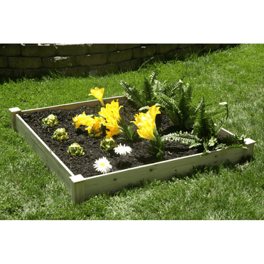 flowers and plants in the EDEN quick assembly raised garden bed