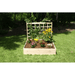 view of the flowers planted in the EDEN raised garden bed with trellis