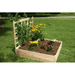 image of flowers in the EDEN raised garden bed with trellis