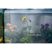 plants growing inside of the Eden raised garden bed table