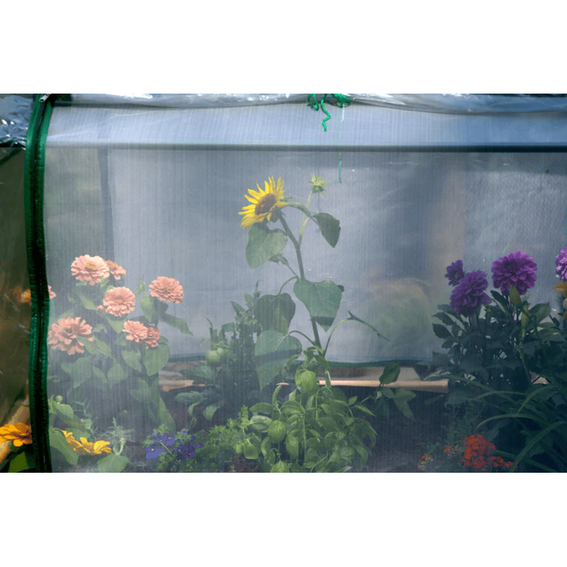 plants growing inside of the Eden raised garden bed table