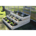 flowers planted in the Eden pyramid garden bed kit