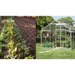 greenhouse image of GENESIS 48FT greenhouse dripper kit