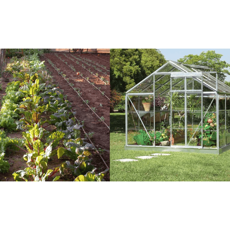 greenhouse image of GENESIS 48FT greenhouse dripper kit