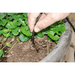Dripper image of Genesis dripper watering kit