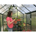 woman working inside of the grandio greenhouse 6×8