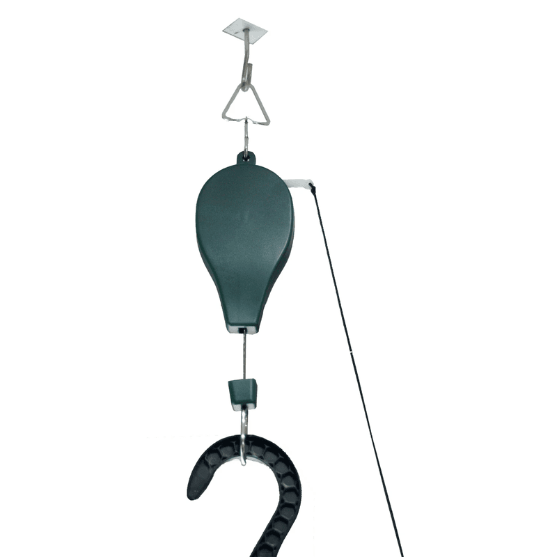 white background image of plant caddie