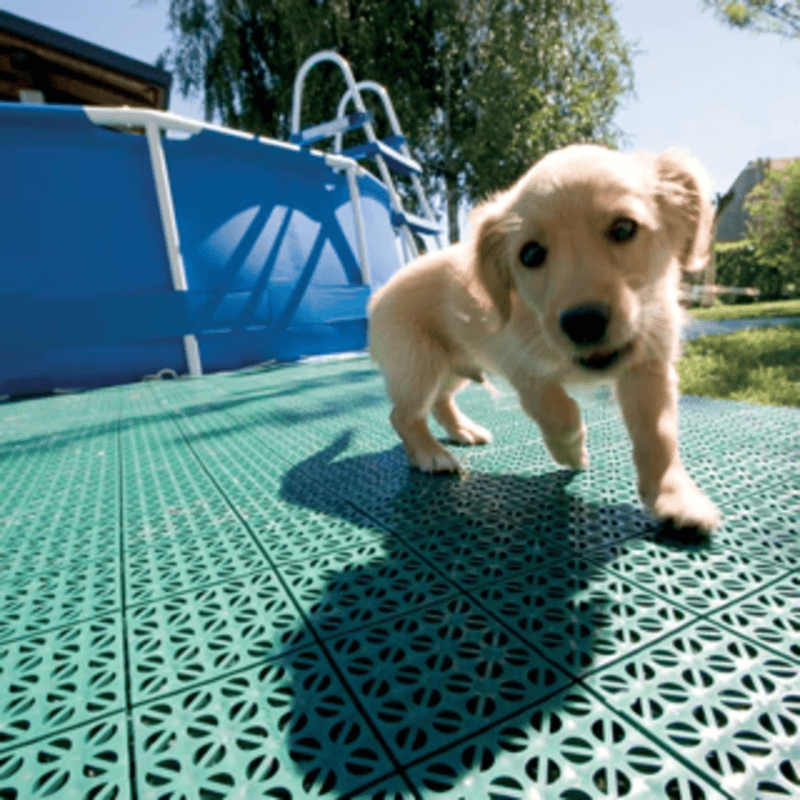 Image of RSI Interlocking Floor System with Puppy
