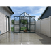 dog inside of the grandio ascent greenhouse with back door transformation