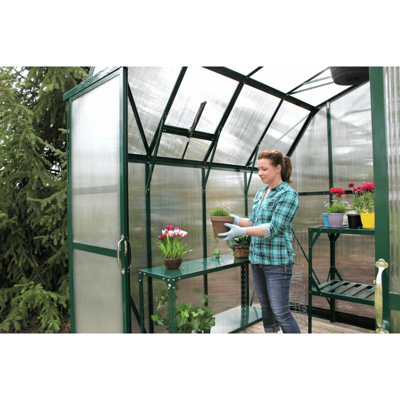 inside view of the grandio elite 8×16 greenhouse