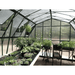 plants inside of the grandio summit 12×16 greenhouse
