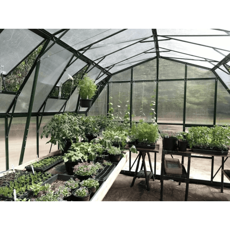 plants inside of the grandio summit 12×16 greenhouse