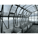 inside view of the grandio summit 12×24 greenhouse