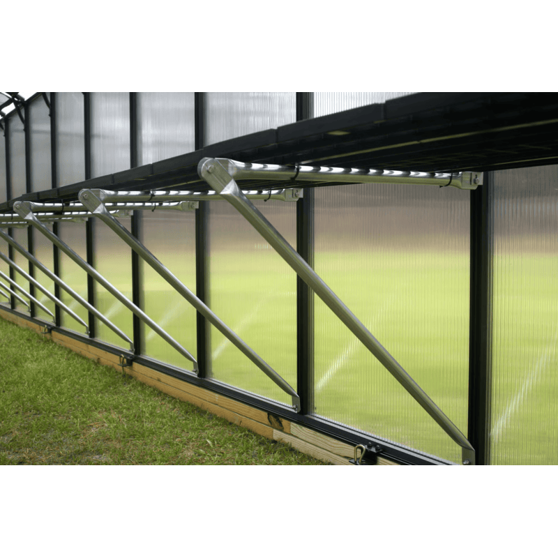 inside view of the mont black greenhouse moheat edition