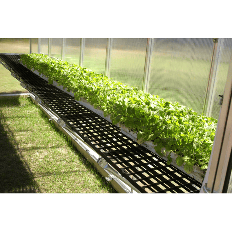 plants growing on the mont work bench system