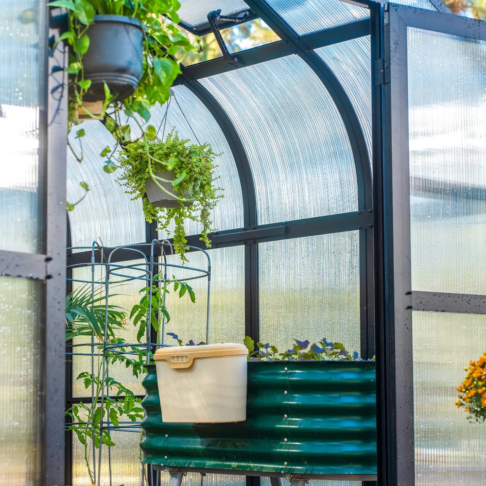 image of an interior raised bed in the vego garden pacific 8.5 feet wide greenhouse