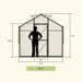 Front view of Vego Junior Victorian Greenhouse 8ft wide showing 7.75ft peak height, 5.95ft door height, and 2.5ft door width