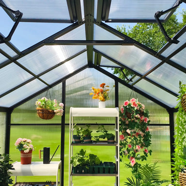 Interior view of Vego Junior Victorian Greenhouse 8ft wide featuring plant shelving, hanging flower baskets, polycarbonate roof panels, and open ventilation windows