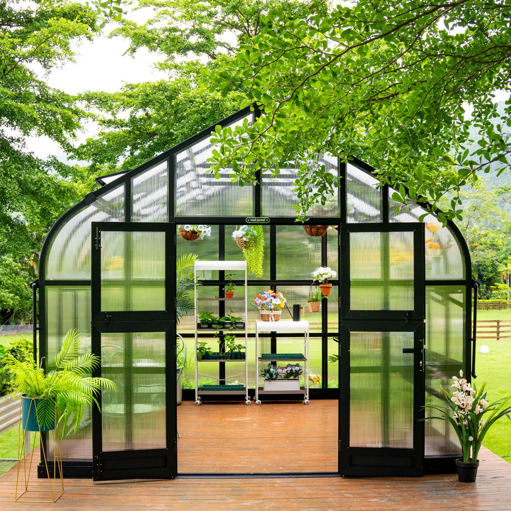 Front view of the Vego Pacific 10.5ft Wide Greenhouse with both Dutch-style doors open and plants inside