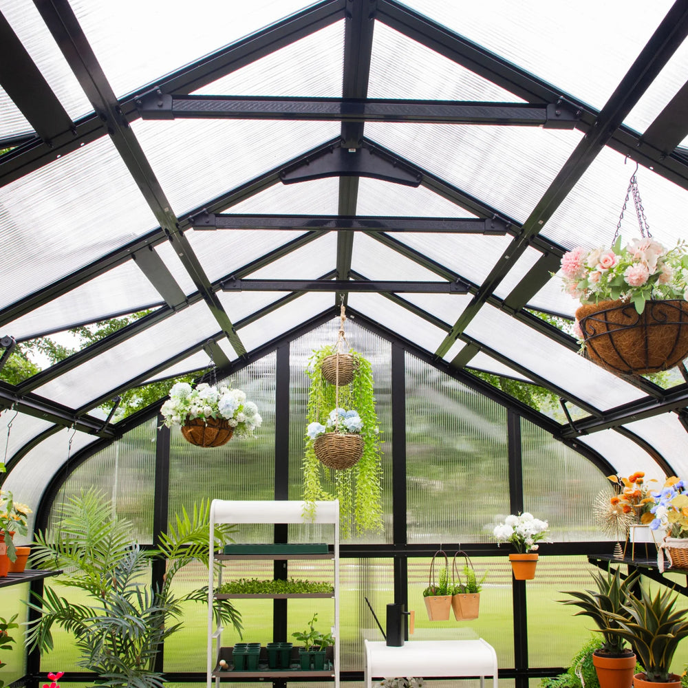 Interior of the Vego Pacific 10.5ft greenhouse showing roof framing, polycarbonate panels and hanging plants