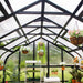 Interior of the Vego Pacific 10.5ft greenhouse showing roof framing, polycarbonate panels and hanging plants