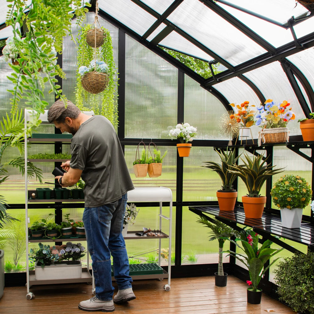 Gardener tending seedlings inside the Vego Pacific 12.5ft greenhouse, with potting shelves and hanging plants.