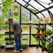Gardener tending seedlings inside the Vego Pacific 12.5ft greenhouse, with potting shelves and hanging plants.