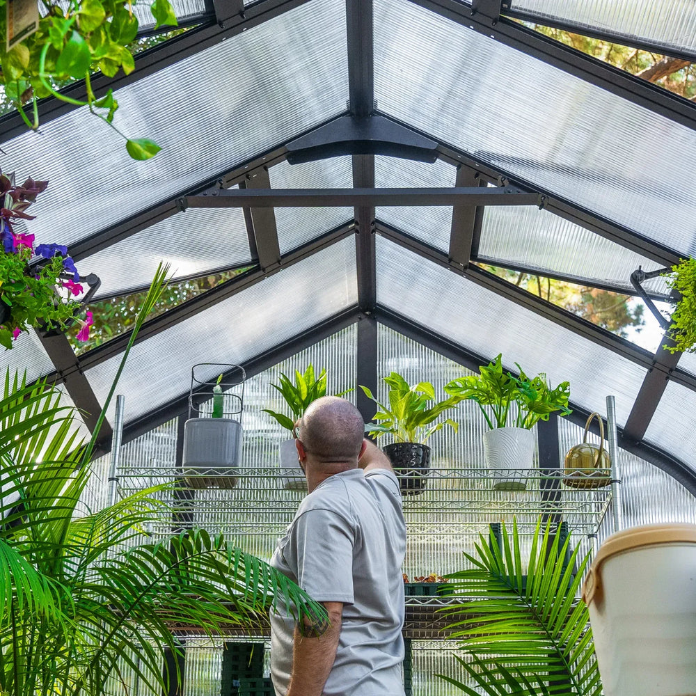 Vego pacific greenhouse interior roof vent image with plants on the shelf